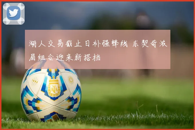 湖人交易截止日补强锋线 东契奇浓眉组合迎来新搭档