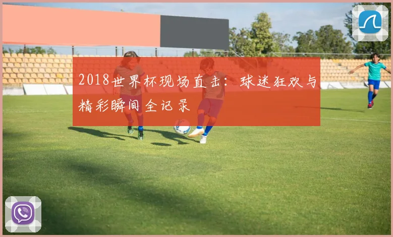 2018世界杯现场直击:球迷狂欢与精彩瞬间全记录