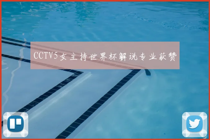 CCTV5女主持世界杯解说专业获赞
