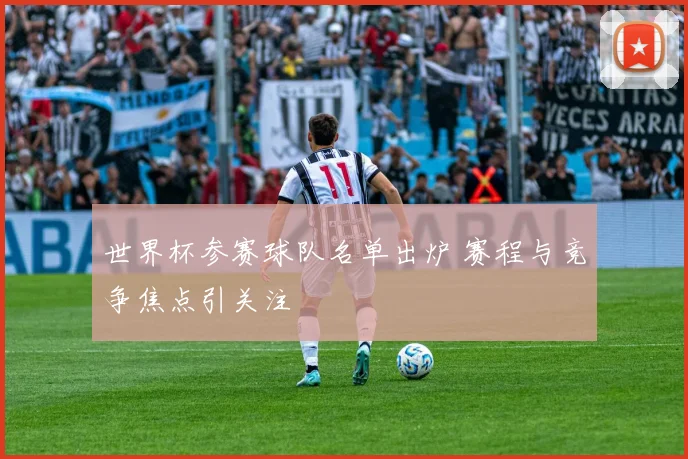 世界杯参赛球队名单出炉 赛程与竞争焦点引关注