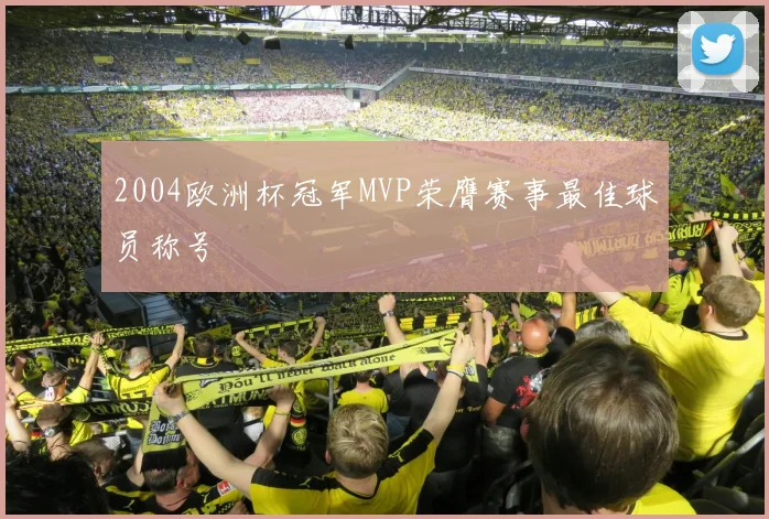 2004欧洲杯冠军MVP荣膺赛事最佳球员称号