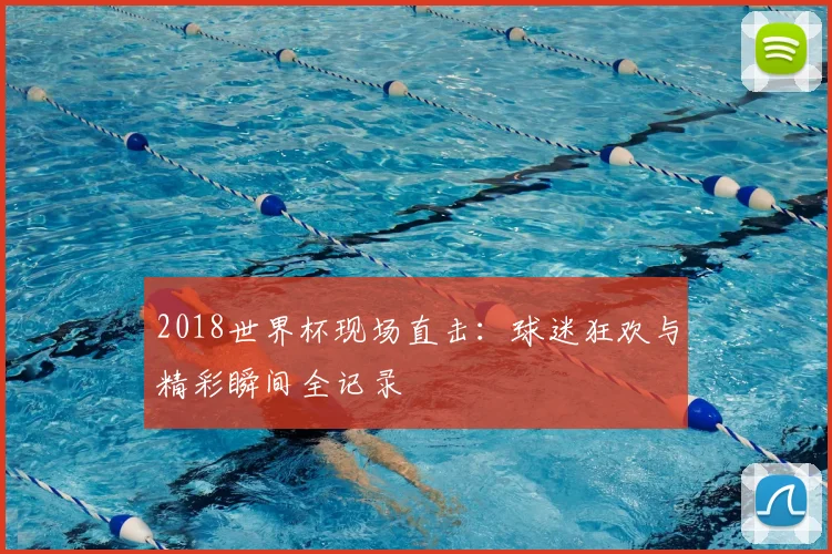 2018世界杯现场直击:球迷狂欢与精彩瞬间全记录