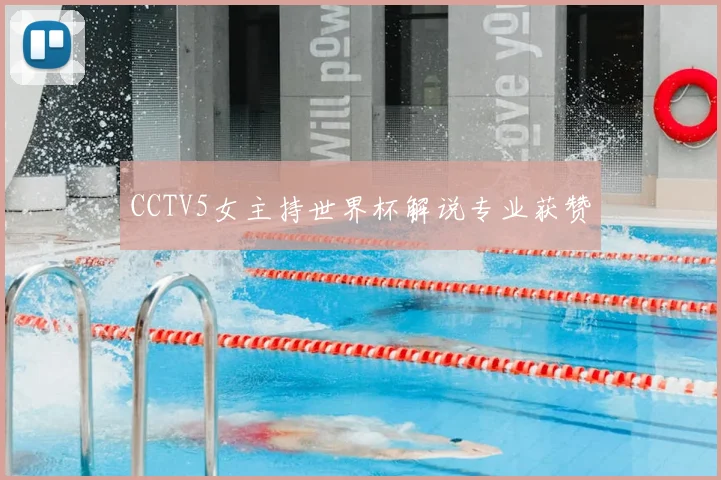 CCTV5女主持世界杯解说专业获赞