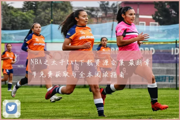 NBA之太子txt下载资源合集 最新章节免费获取与全本阅读指南