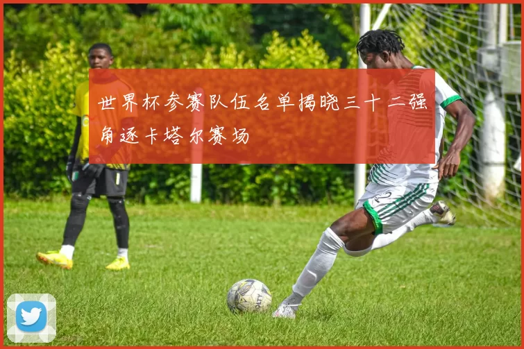 世界杯参赛队伍名单揭晓三十二强角逐卡塔尔赛场