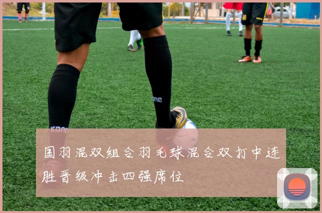 国羽混双组合羽毛球混合双打中连胜晋级冲击四强席位