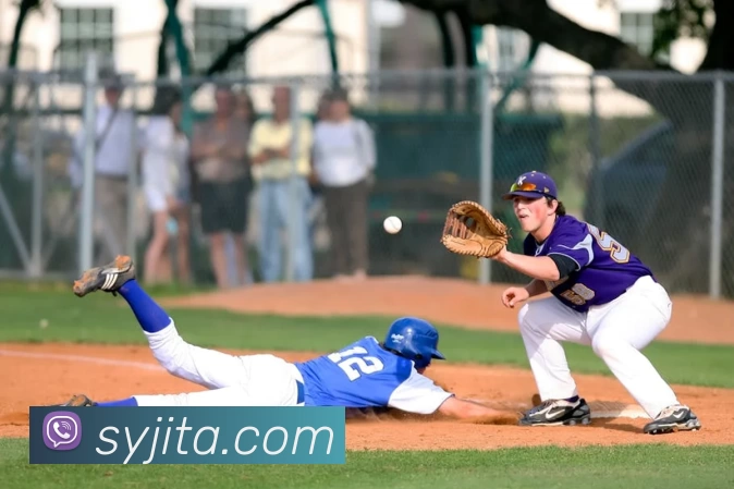 米兰体育在线登录网址服务体系